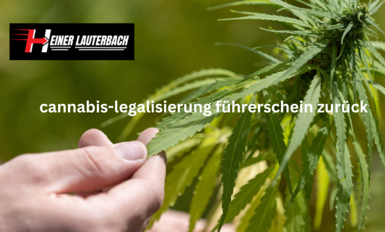 cannabis-legalisierung führerschein zurück